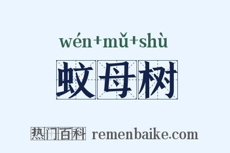 蚊母树是什么意思的图片